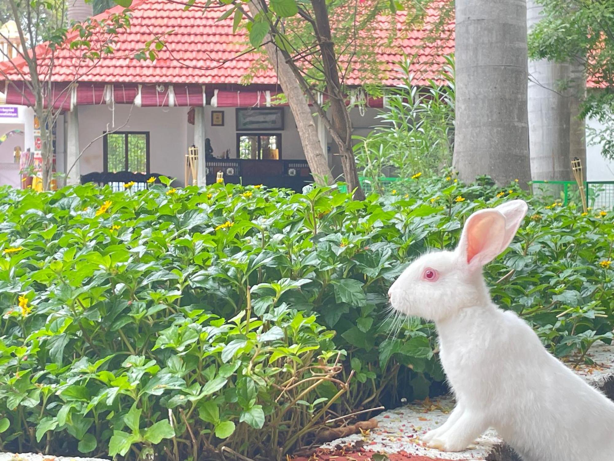 Chola Heritage Resort Kāraikkudi Exterior foto